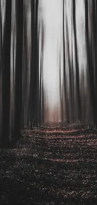 Bring the surreal majesty of the forest to your Android device with this minimalistic live wallpaper
