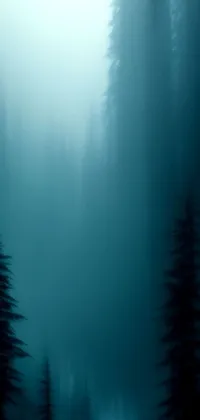 This live wallpaper depicts a couple standing amidst a dense and dark forest
