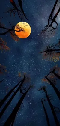 This phone live wallpaper features a spooky forest at night, complete with a full moon rising in the dark orange sky