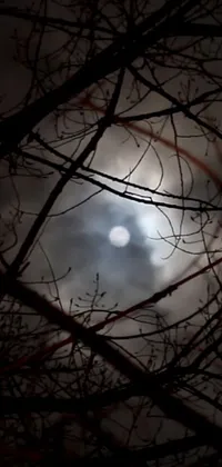 This phone live wallpaper portrays a stunning intricate illustration of a full moon partially visible through the intricate branches of a tree, set against a cloudy sky and glowing light