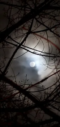 This live phone wallpaper features a mystical scene of a full moon surrounded by the branches of a tree