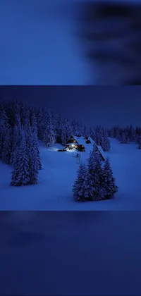 Check out this stunning phone live wallpaper featuring a picturesque house in a snowy forest