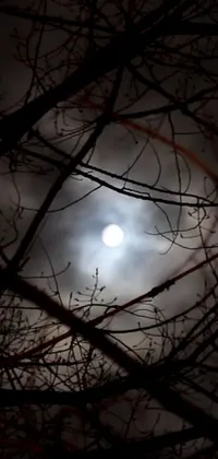 This <a href="/">live wallpaper for your phone</a> showcases a striking image of a full moon