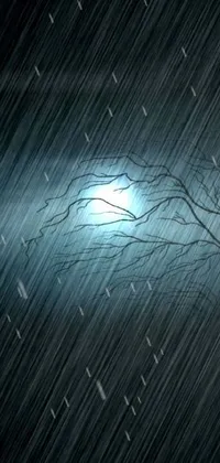 This live wallpaper features a picturesque tree in the rain, set against a striking full moon in the background