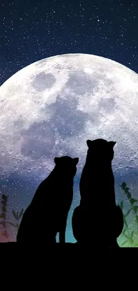 This mobile wallpaper captures two cats in front of a dazzling full moon
