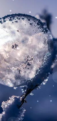 snow Live Wallpaper