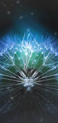 This stunning live wallpaper features a macro photograph of a dandelion on a black background, with intricate and detailed symmetry