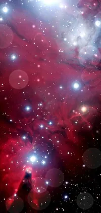 This vibrant live phone wallpaper brings the natural beauty of a star-filled night sky to your fingertips