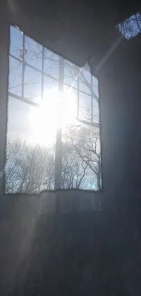 Atmosphere Window Building Live Wallpaper