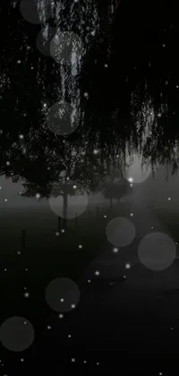 This black and white live wallpaper features a serene park at night with a hint of light fog and fireflies