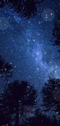 beautiful night sky with stars wallpaper