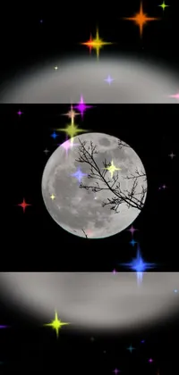 This captivating live wallpaper features a striking full moon and twinkling stars in the backdrop, evoking a serene nighttime scene