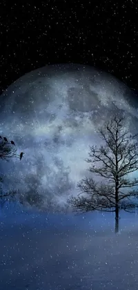 Enjoy the captivating beauty of winter at night with this live wallpaper featuring two majestic trees standing in the snow