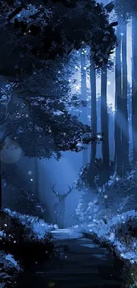 beautiful night forest