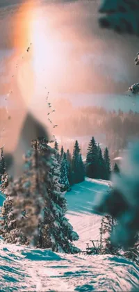 This live wallpaper features snow-covered trees in 4K resolution