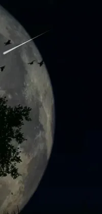 Indulge in the beauty of this phone live wallpaper featuring a flock of birds soaring elegantly across the full moon