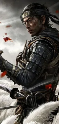 This live wallpaper captures a striking image of a sword-wielding warrior standing amidst a field of feathers with a cloudy sky in the backdrop