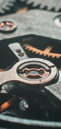 This live wallpaper features an up-close view of the gears of an analog watch