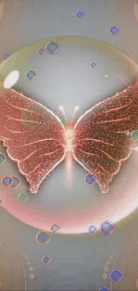 This stunning phone live wallpaper displays two realistic butterflies enclosed in a glittering bubble