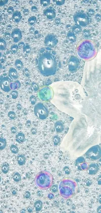 Azure Organism Aqua Live Wallpaper