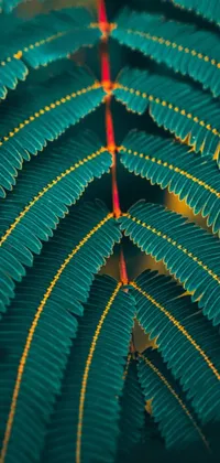 Azure Plant Terrestrial Plant Live Wallpaper