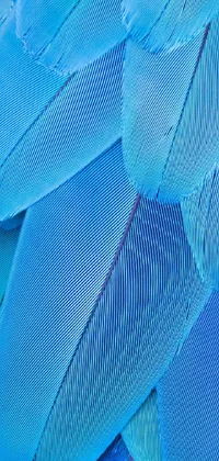 Azure Textile Sleeve Live Wallpaper