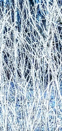Azure Twig Tree Live Wallpaper