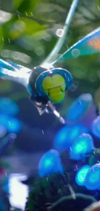 Balloon Tree Electric Blue Live Wallpaper