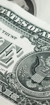 Banknote Dollar Money Handling Live Wallpaper