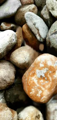 This live phone wallpaper features a pile of rocks in shades of brown and white arranged closely together