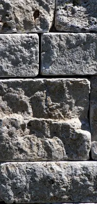 This stunning live wallpaper features a small sparrow sitting on top of a romanesque-style cement brick wall with intricate patterns and details