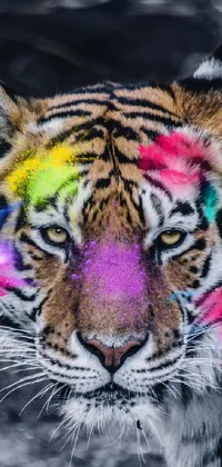 This live phone wallpaper captures a striking tiger portrait with colorful facial paint