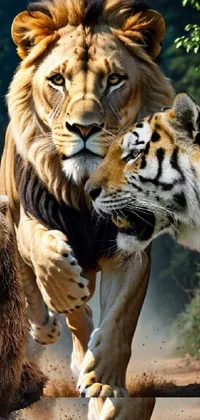Bengal Tiger Siberian Tiger Light Live Wallpaper