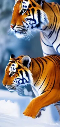 Looking for a captivating live wallpaper for your phone? Check out this vivid digital rendering of tigers walking across a snowy, panoramic landscape