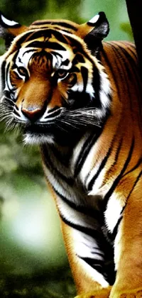 This phone live wallpaper features a digital rendering of a tiger standing on a tree branch