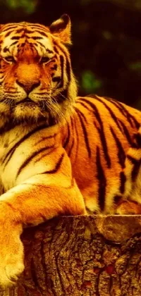 This stunning live wallpaper features a tiger sitting on a tree stump