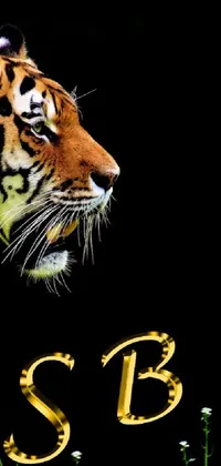 This stunning phone live wallpaper features a vibrant tiger walking across a green field with falling orange and yellow leaves