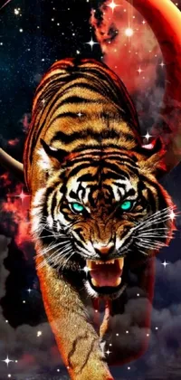 Bengal Tiger Siberian Tiger Tiger Live Wallpaper