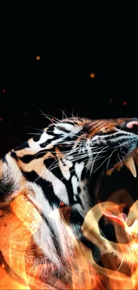 Bengal Tiger Tiger Felidae Live Wallpaper
