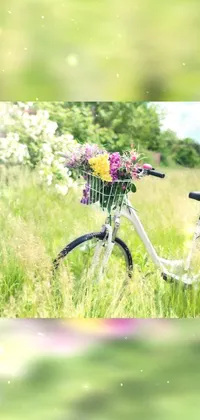 Bicycle Flower Plant Live Wallpaper