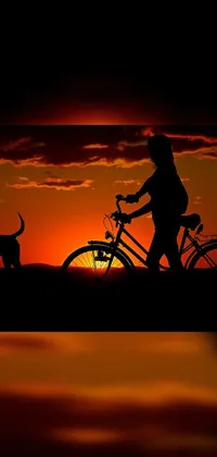 Bicycle Wheel Sky Live Wallpaper