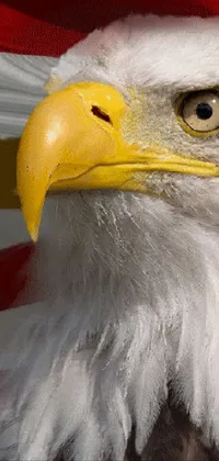 This stunning live wallpaper features a majestic bald eagle standing proudly before the vibrant colors of the American flag