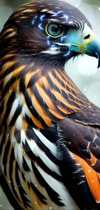 Bird Accipitridae Light Live Wallpaper