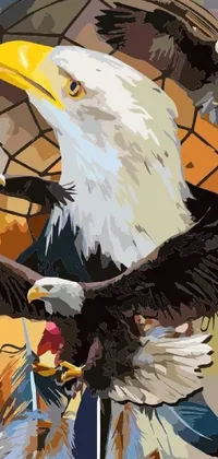 Bird Accipitridae Sea Eagle Live Wallpaper