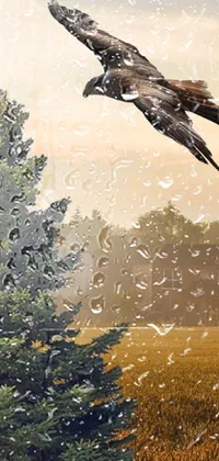 rainy day Live Wallpaper