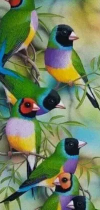 This phone live wallpaper showcases a stunning group of multi-colored birds perched on a tree branch