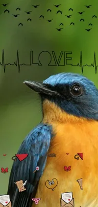 This phone live wallpaper showcases a colorful and vivid bird sitting on a tree branch, complemented by a picturesque background incorporating elements inspired by social media (Instagram), nature (Sumatraism), emotional affection (heart rate, I love you), animation (Bluey), and photography (Picsart)