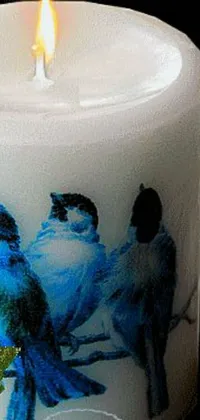 Bird Art Liquid Live Wallpaper
