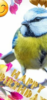 This live wallpaper depicts a beautiful, blue and yellow bird sitting on a tree branch with a plethora of blooming flowers behind it, framing the picture in a delicate and serene manner