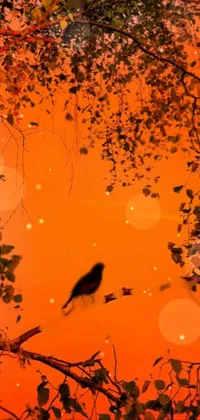 Bird Atmosphere Amber Live Wallpaper